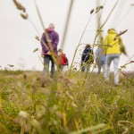 kloosterwelle-polderwandeling