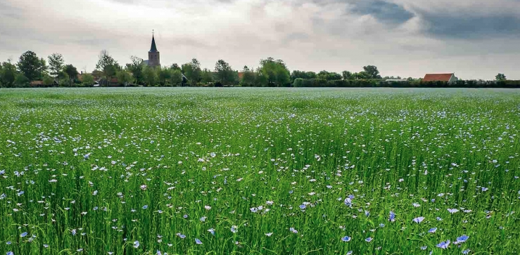 Noordwelle